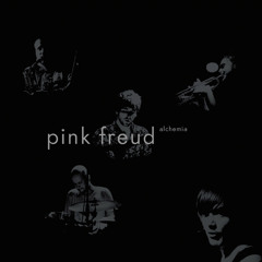 Pink Freud