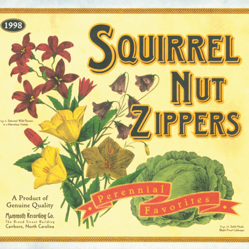 best of squirrel nut zippers rar best of squirrel nut zippers rar