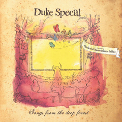 Duke Special