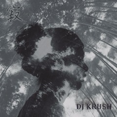 DJ Krush