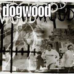 Dogwood