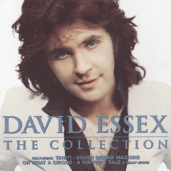 David Essex