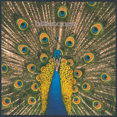 The Bluetones