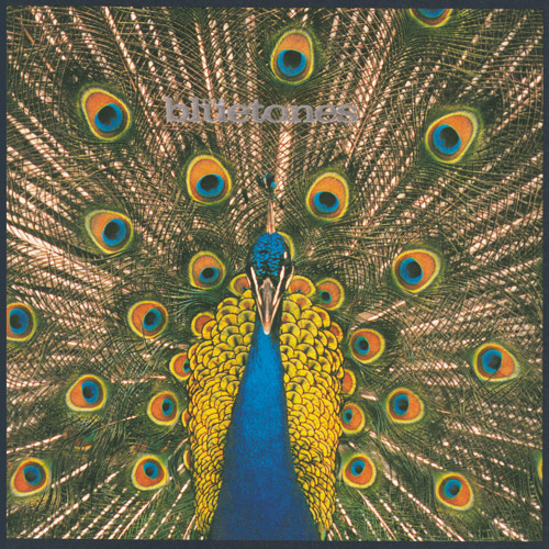 Stream The Bluetones music | Listen to songs, albums, playlists 