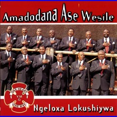Amadodana Ase Wesile