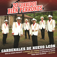 Cardenales De Nuevo León