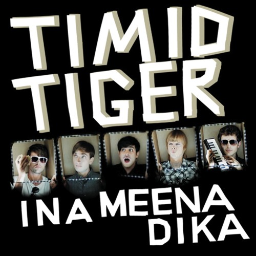 Timid Tiger’s avatar
