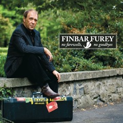 Finbar Furey