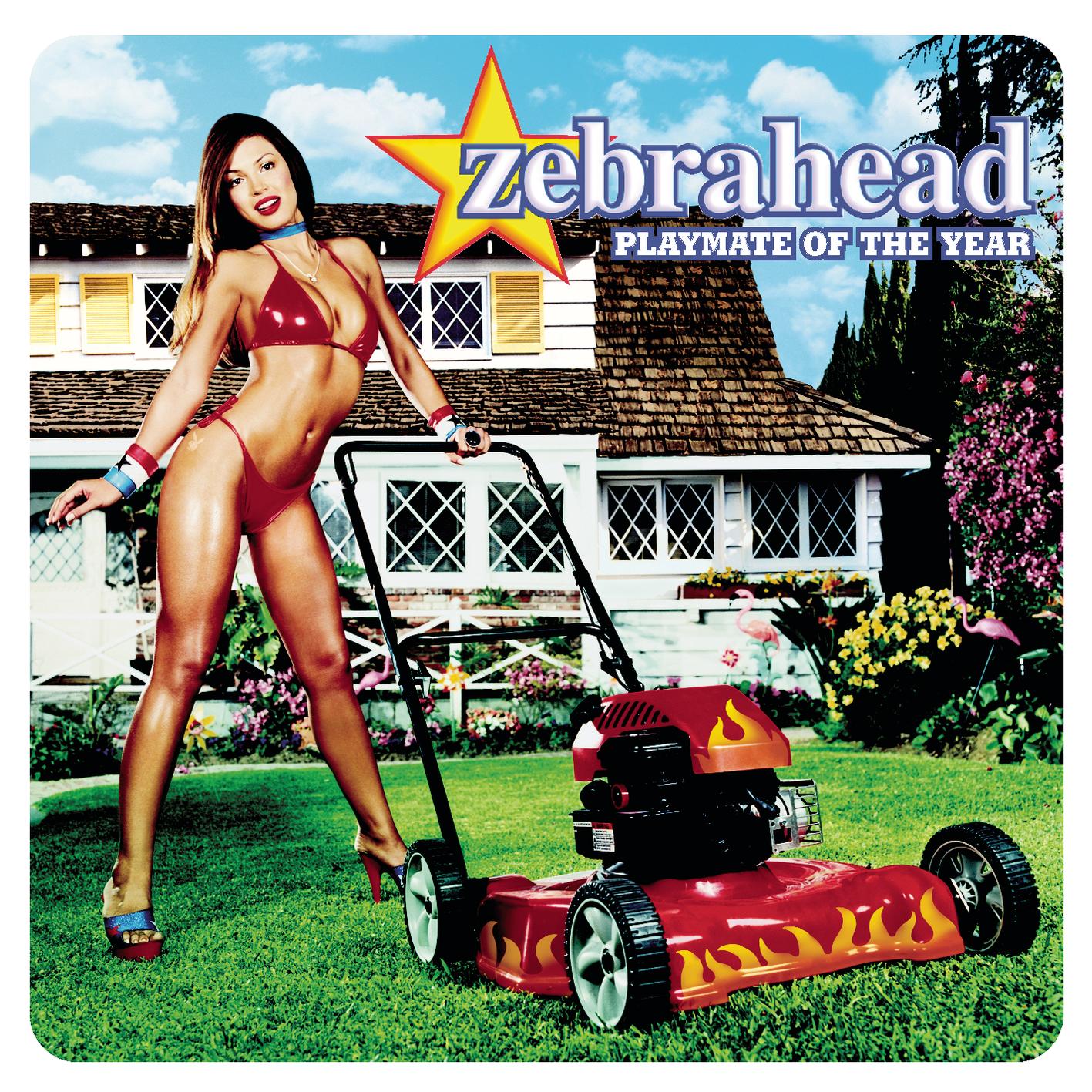 zebrahead