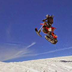 whitehorsephotograph