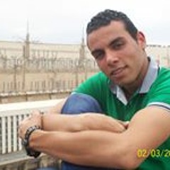 hosam el naggar