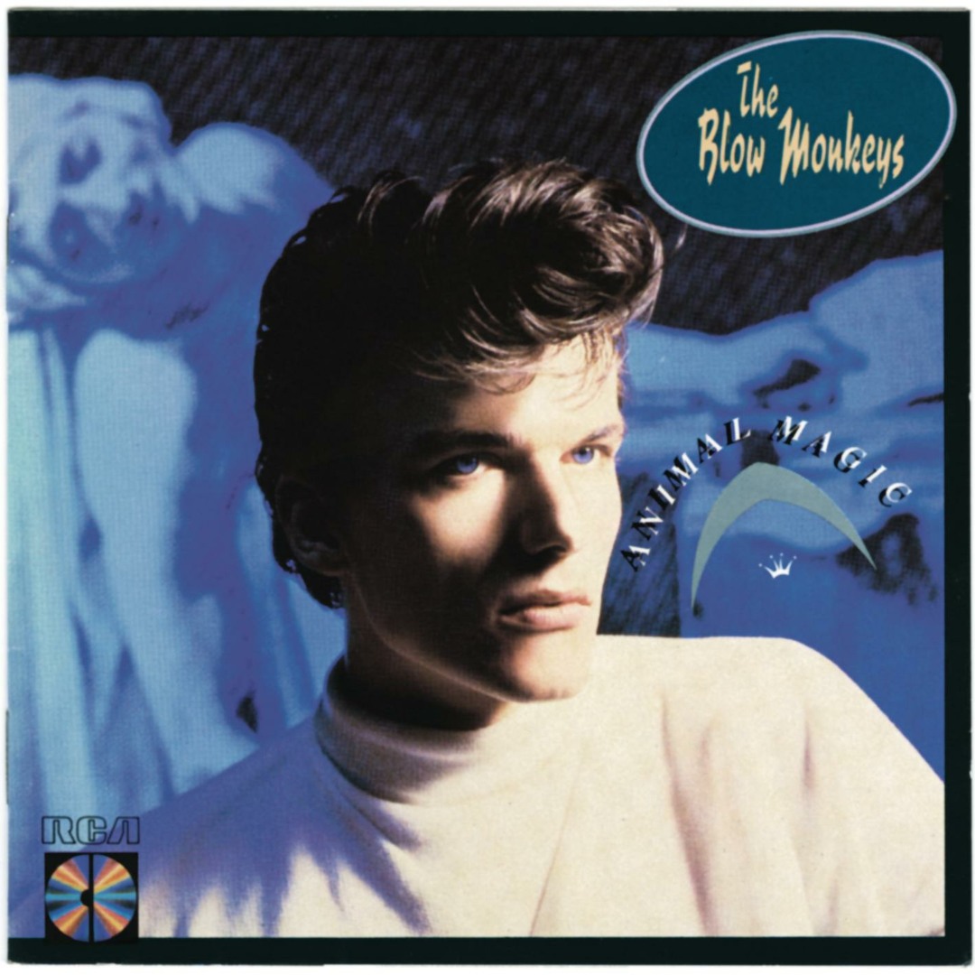 洋楽 The Blow Monkeys Whoops Japan CD Promo Stream The Blow Monkeys music | Listen to songs, albums, playlists