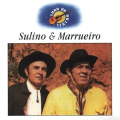 Sulino & Marrueiro