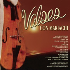 Mariachi Jalisco de Pepe Villa