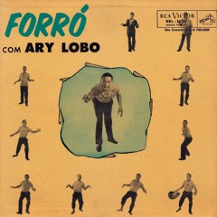 Ary Lobo
