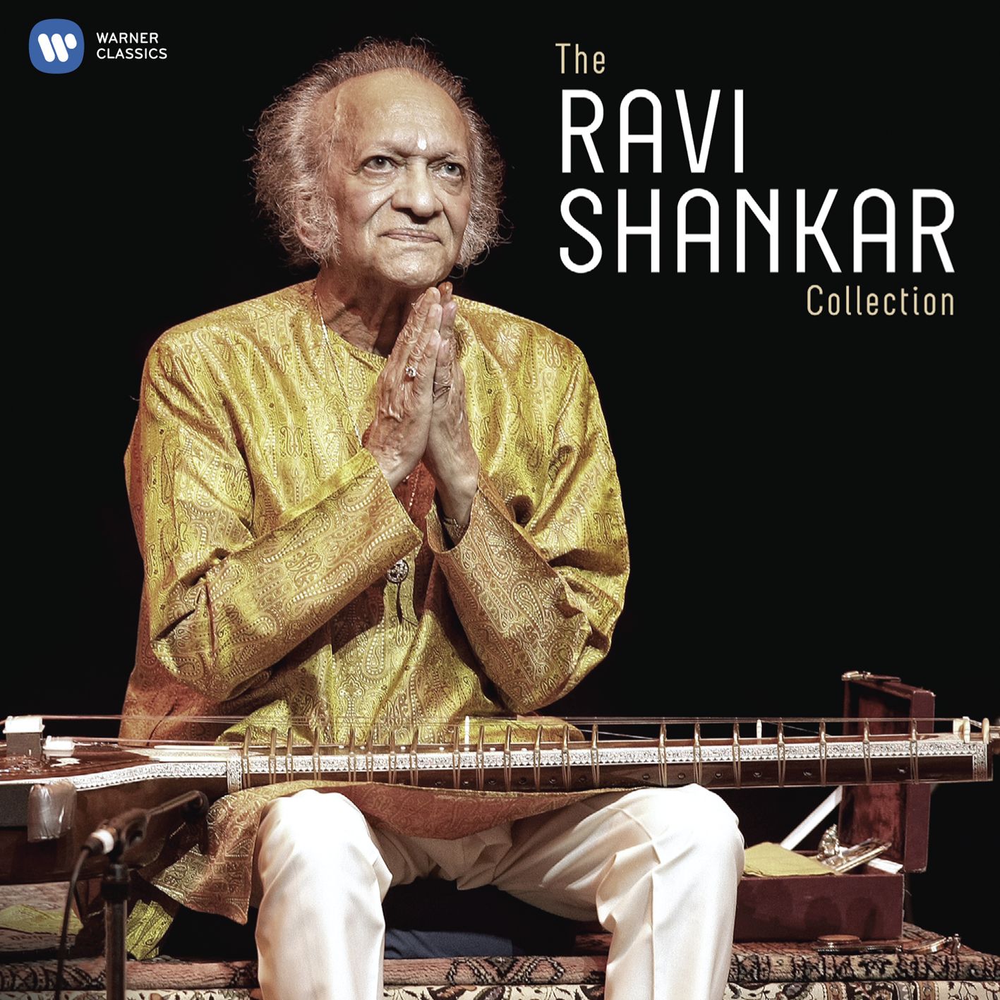 Ravi Shankar
