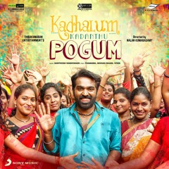 Santhosh Narayanan