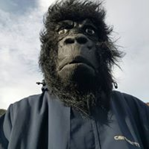 Funky SlotH (The SlackerZ / Caravan HertZ)’s avatar