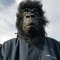 Funky SlotH (The SlackerZ / Caravan HertZ)