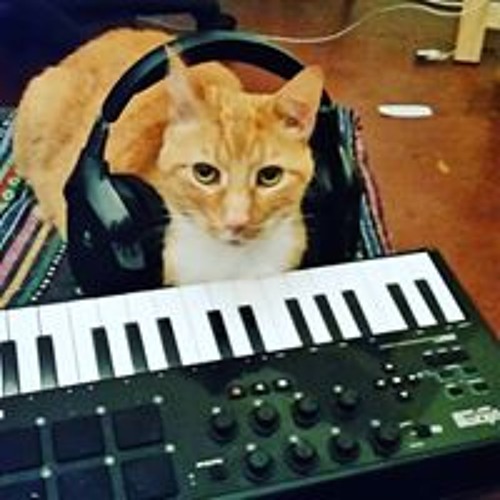 Dante Der Junkie (lil Tham)