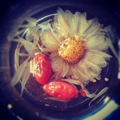 Aster Amellus