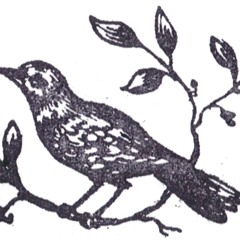 BluebirdBirdy