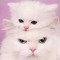 iamsoapie
