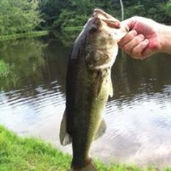 Javier Anthony Bisciaio