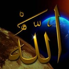Wael Wahab