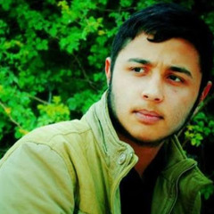 ‫سيد محمد حسيني‬‎