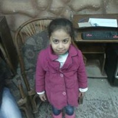 NoHa Ahmed