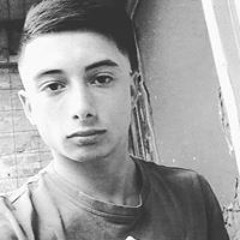 losmasinsectos