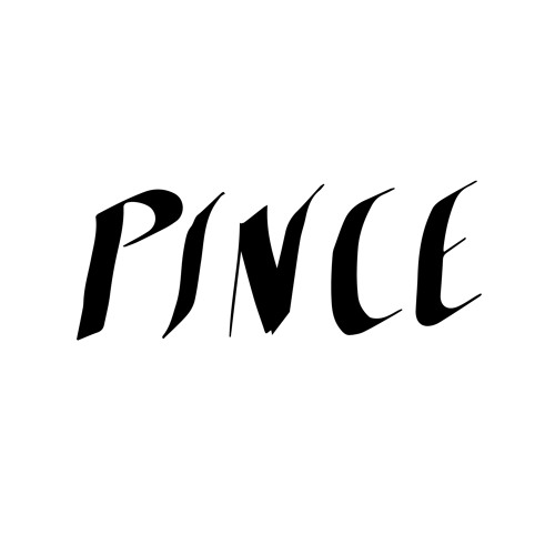 PINCE’s avatar