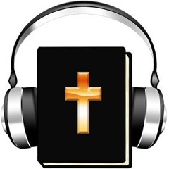Audio Believer