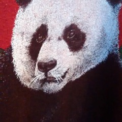 Panda+