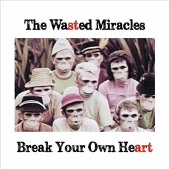 The Wasted Miracles