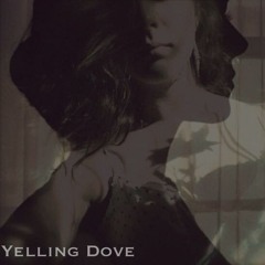Yelling Dove