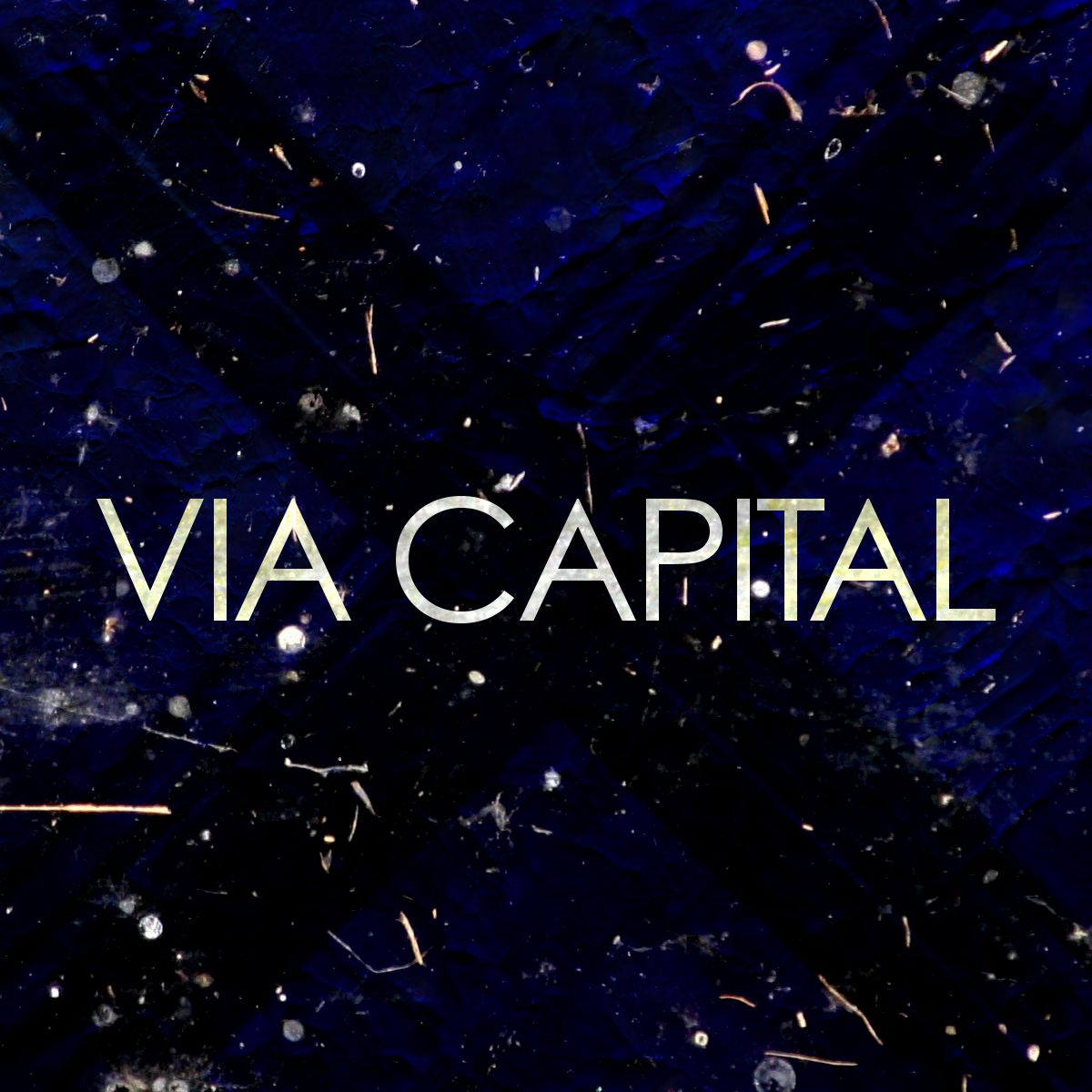 Via Capital