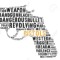 Pistol