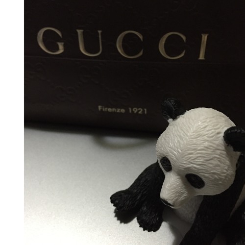 Stream Gucci Panda by GucciPanda Beats | Listen online for free on  SoundCloud