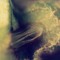 eleven_shrines