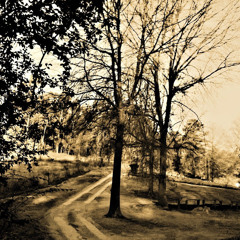 khethukuthula Dlamini