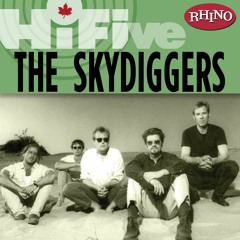 The Skydiggers