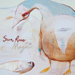Sean Rowe