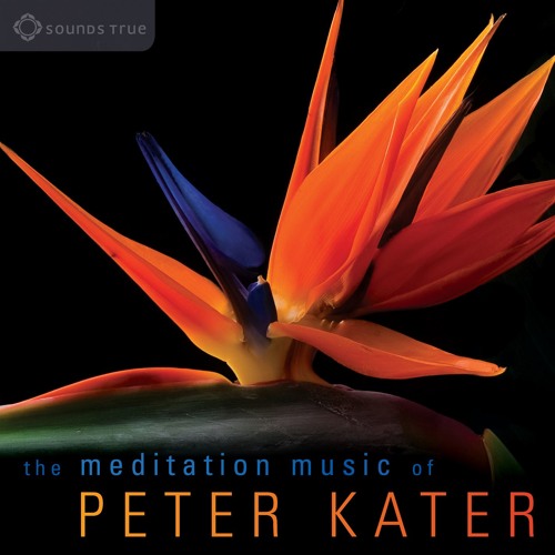 Peter Kater’s avatar