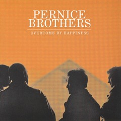 The Pernice Brothers