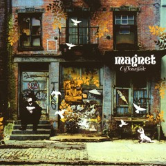 Magnet
