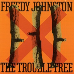 Freedy Johnston