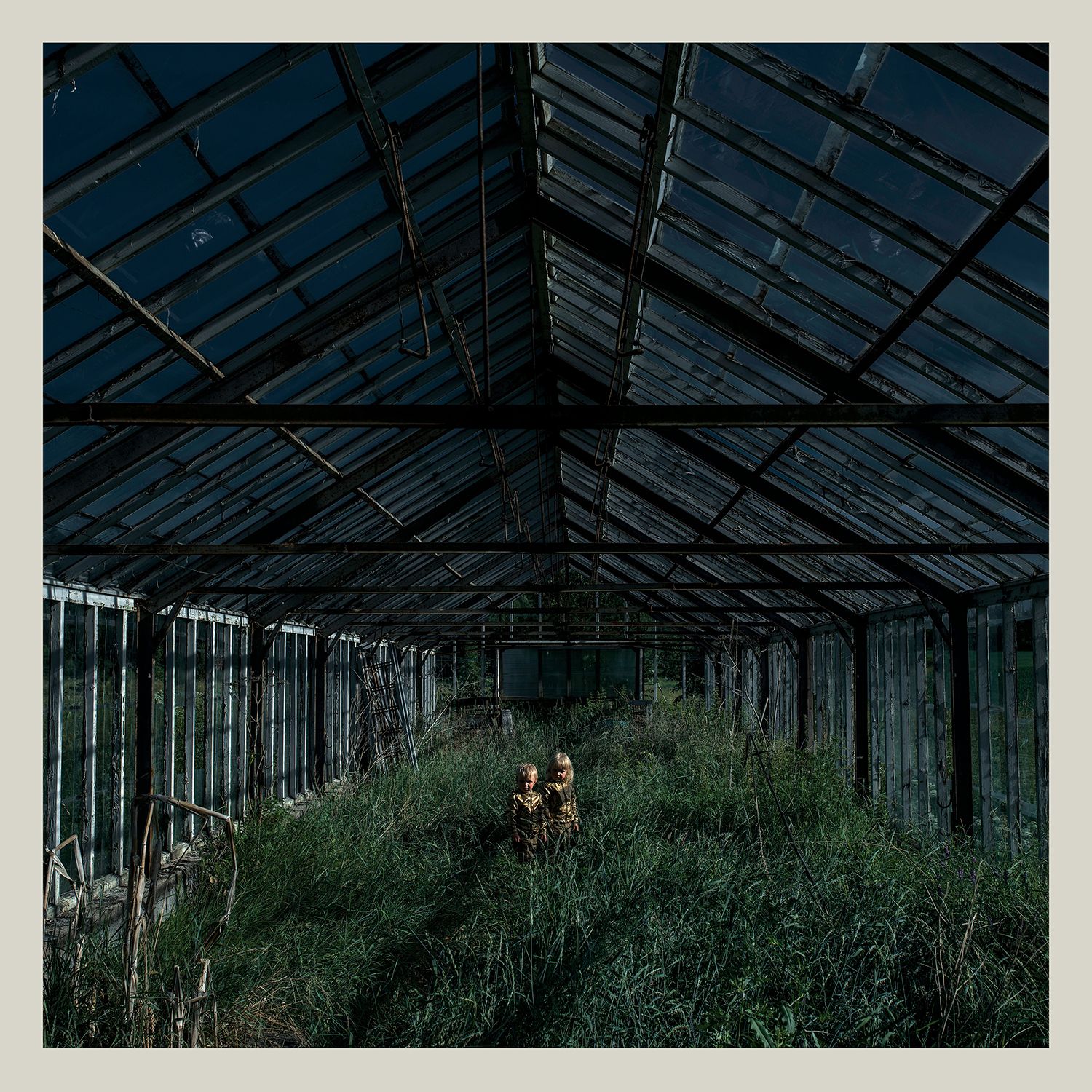 Foxing