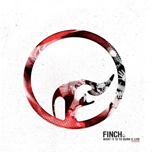 Finch’s avatar